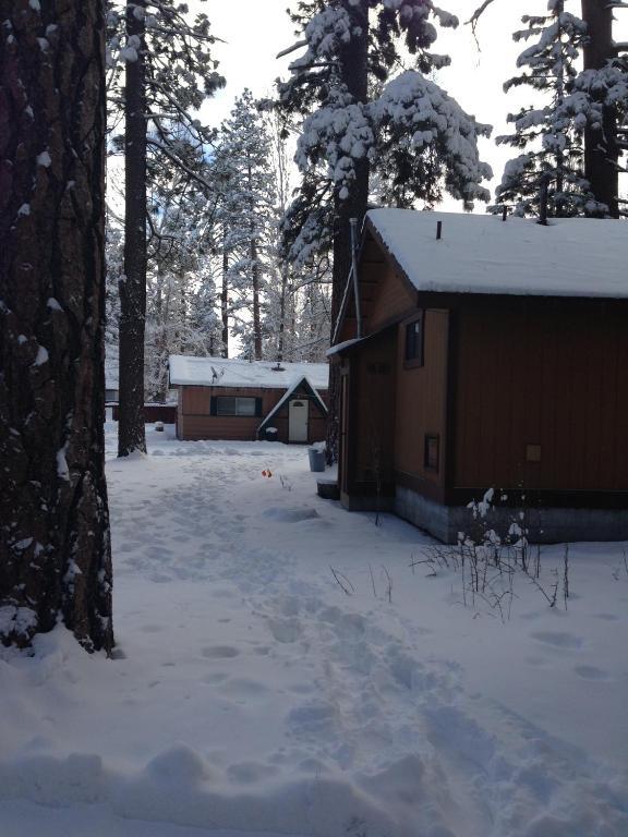 Majestic Moose Lodge - Coptic Village Big Bear Lake Esterno foto