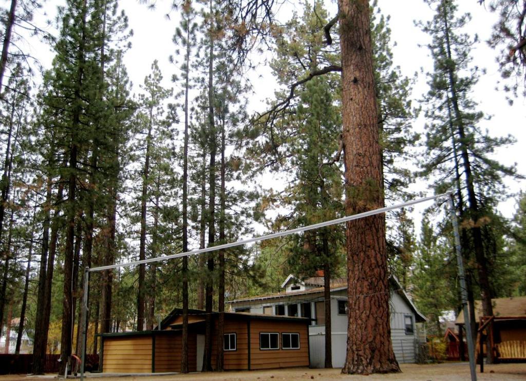 Majestic Moose Lodge - Coptic Village Big Bear Lake Esterno foto